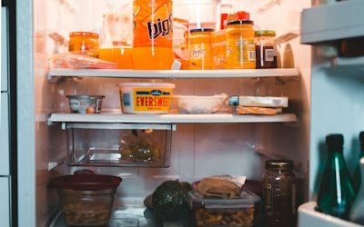 Save Money with Sub Zero Refrigerator Repair Cost Tips