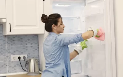 Expert Sub Zero Refrigerator Repair Tips